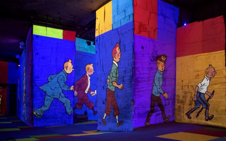 MArseille - CARRIÈRES DE LUMIÈRES - TINTIN 