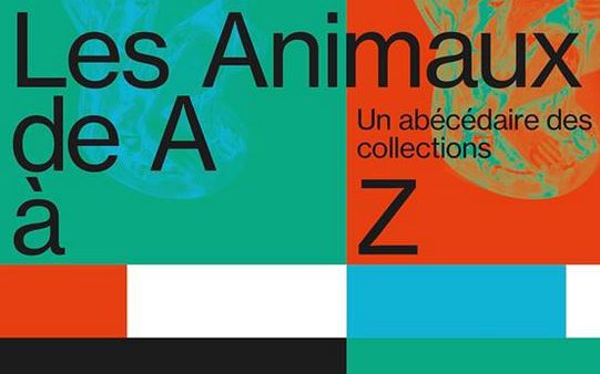 MArseille - Les animaux de A à Z – Petit abécédaire des animaux 