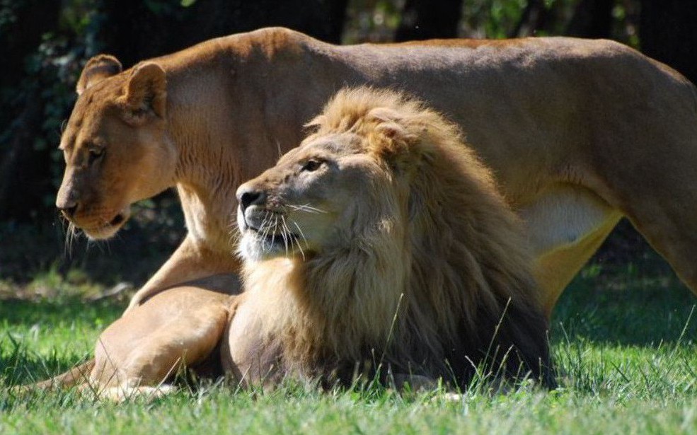 MArseille - BALLADE EN FAMILLE AU ZOO DE LA BARBEN