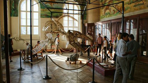 Marseille - Muséum d'Histoire Naturelle