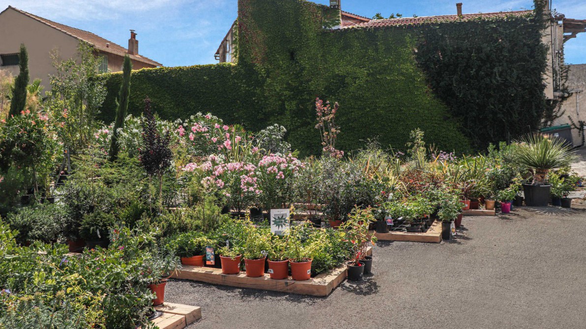 Marseille - JARDINERIE ROUBAUD