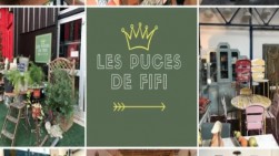 LES PUCES DE FIFI
